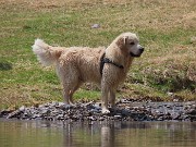 50 quasi quasi mi tuffo anch'io !